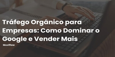 Tráfego Orgânico Muviflow Curitiba